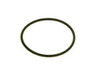 Bosch O-ring Askoll (5x)