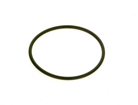 Bosch O-ring Askoll (5x)