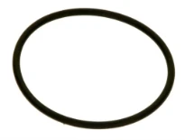 Bosch WSS O-ring pomp