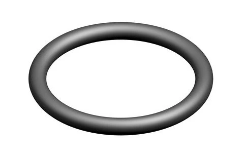 Bosch O-ring (10x)