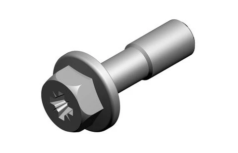Bosch Schroef (10x)