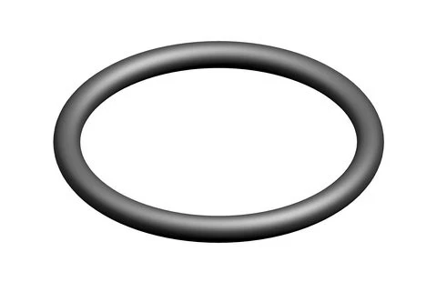 Bosch O-ring 29,82x2,62 EPDM (x5)