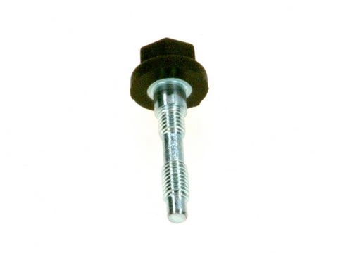 Bosch Klemschroef M5 (2x)