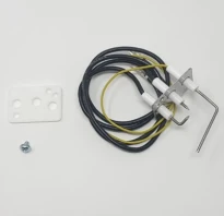 Bosch Ontstekingselektrode assemblage