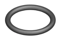 Bosch O-ring (10 x)
