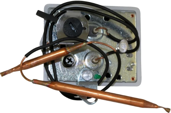 Bulex WSS thermostaat bipolair 2 voelers - 4-5-6-4000