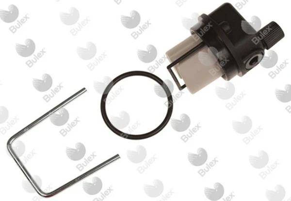 Bulex WSS purgeur ThermoMaster f25/29 (ex 0020059263)