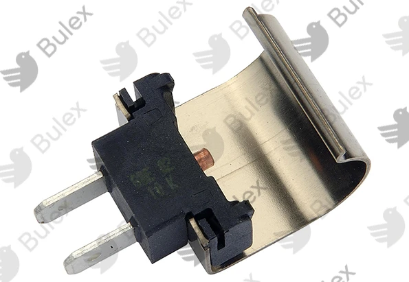 Bulex WSS NTC sonde