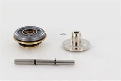 Bosch Gasklep binnenwerk