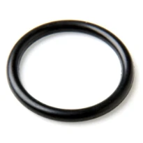 Bosch O-ring (10x)