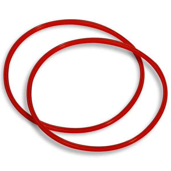Daalderop WSS joint silicone échangeur cube (2 pièces)