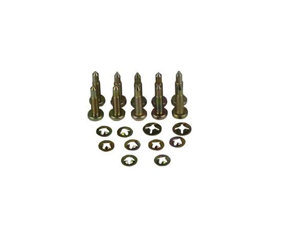 Bosch Schroef M5 x 22 (10 x)
