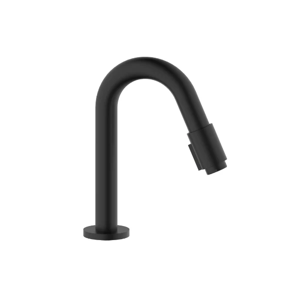 Procasa Vivo robinet eau froide - bec 190 mm - noir mat