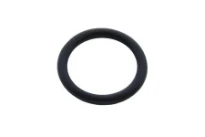 Bosch O-Ring 15,54x2,62