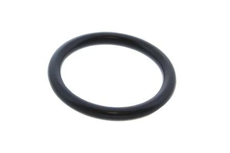 Bosch O-Ring 3,0 sec x 21,5 i / d E.P.
