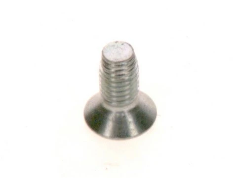Bosch Schroef 60 x 14 (2 x)