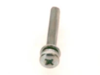 Bosch Schroef M5x35 (10x)