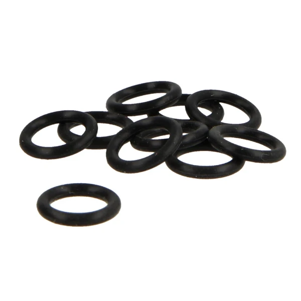 Bosch O-ring (10 x)