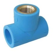 Niron PPR TE filete femelle 90° FFF 16 x 1/2 F x 16 mm