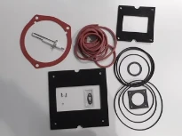 REMEHA WSS Kit SAV (joints + électrode) Gas 310/610 ECO