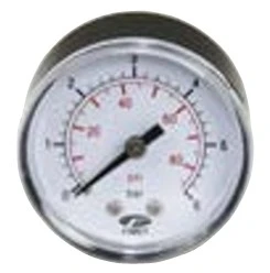 DAB Acces manometer radiaal 0-6 bar