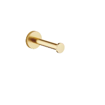 DORNBRACHT Tara Support pour rouleau de réserve laiton brossé