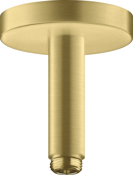 DOUCHEARM AXOR 100 ! brushed brass