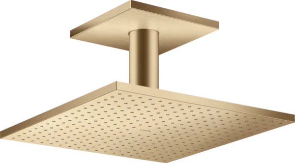 AXOR douche de tête 300/300 1jet modèle pr plafond Brushed Bronze