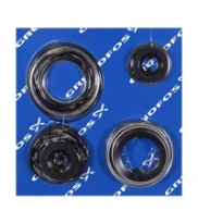 GRUNDFOS WSS Kit, Gasket AMG.Ex/SMG.140-185