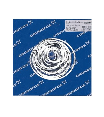 GRUNDFOS WSS Kit, O-rings, SEG, Frame B/C