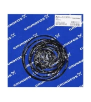 GRUNDFOS WSS Kit, O-ring, SEP Frame A