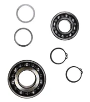GRUNDFOS WSS kit, S Frame 50 Bearing kit (6307+ 3309)