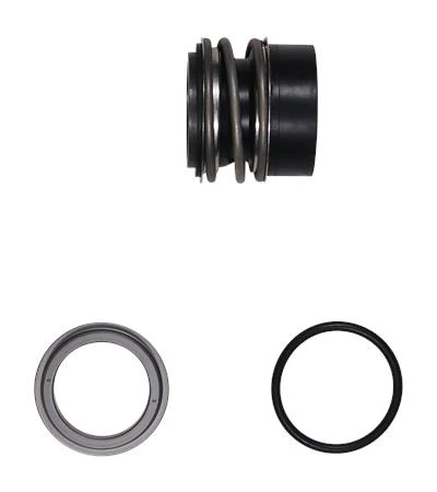 GRUNDFOS WSS Shaft seal BBQE GG D38/spare