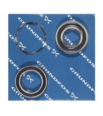 GRUNDFOS WSS Kit, Bearing Motor, 6208/6010