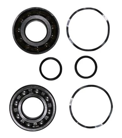 GRUNDFOS WSS Kit, Ball Bearing 7310.BE/6310.Z.C4
