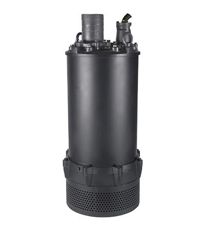 GRUNDFOS DWK.E.10.100.220.5.1D