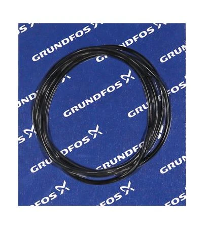 GRUNDFOS WSS O-ring EPDM 456.06x3,53 /spare