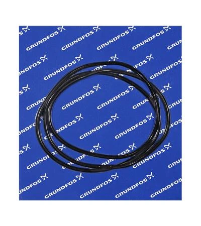 GRUNDFOS WSS O-ring EPDM 548x6/spare