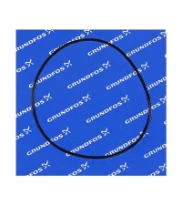 GRUNDFOS WSS O-ring FXM 177.39x3.53/spare