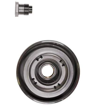 GRUNDFOS WSS Kit, Chamber + bearing - Bz/HM
