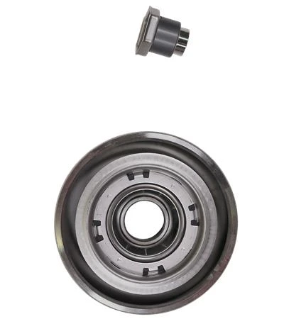 GRUNDFOS WSS Kit, Chamber N-ver. + bearing - SIC/SIC