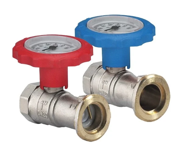 Watts WattsCIR Thermo 1A pompset met bolkranen en thermometer 6/4 x 4/4 - prijs per set