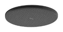 Hansgrohe Raindance Alive S douche de tête 300 mm 1jet - Matt Black