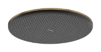 Hansgrohe Raindance Alive S douche de tête 300 mm 1jet EcoSmart - Brushed Bronze