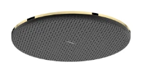 Hansgrohe Raindance Alive S douche de tête 300 mm 1jet EcoSmart - Polished Gold Optic