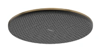 Hansgrohe Raindance Alive S douche de tête 300 mm 1jet EcoSmart+ - Brushed Bronze