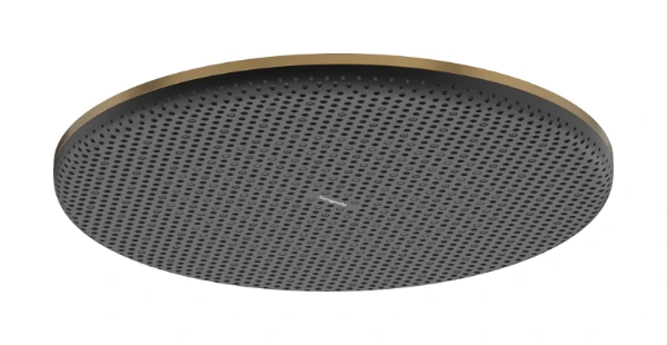 Hansgrohe Raindance Alive S douche de tête 300 mm 1jet EcoSmart+ - Brushed Bronze