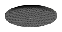 Hansgrohe Raindance Alive S douche de tête 300 mm 1jet EcoSmart+ - Brushed Black Chrome