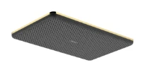 Hansgrohe Raindance Alive Q douche de tête 210 x 340 mm 1jet EcoSmart - Polished Gold Optic