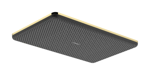 Hansgrohe Raindance Alive Q douche de tête 210 x 340 mm 1jet EcoSmart - Polished Gold Optic